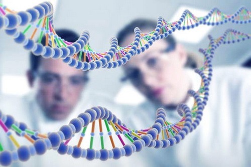 Удвоение генетического прогресса 