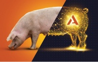 Компании Alltech и СГЦ Топ Ген приглашают на технический семинар по свиноводству
