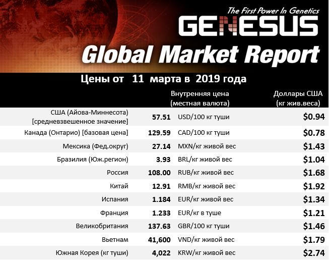 Глобальный рынок, отчет Соединенные штаты – март 2019