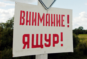 В Минсельхозе заявили о сложной ситуации по ящуру в восточных приграничных районах РФ В Минсельхозе заявили о сложной ситуации по ящуру в восточных приграничных районах РФ