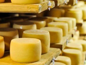 Производство сыра в 2017 году вырастет на 2% Производство сыра в 2017 году вырастет на 2%
