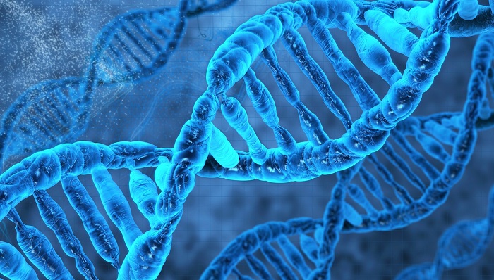 Новая лаборатория ДНК-технологий в животноводстве