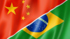 Бразилия: экспорт мясной продукции в Китай увеличивается