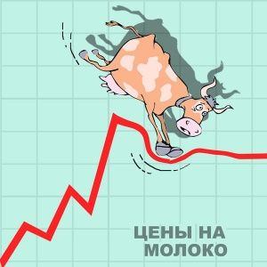 Исследование: где в ПФО самое дешевое молоко и через кого везут импорт