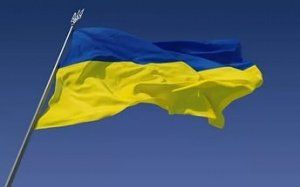Украина: в 2016 г. производство мяса птицы увеличилось на 12% Украина: в 2016 г. производство мяса птицы увеличилось на 12%