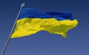 Украина увеличила производство мяса на 0,4%, яиц – на 2,5%, сократила молока на 0,7% Украина увеличила производство мяса на 0,4%, яиц – на 2,5%, сократила молока на 0,7%