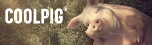 Снижение негативного воздействия теплового стресса на свиней