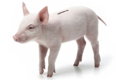 Экономическое влияние пневмонии свиней