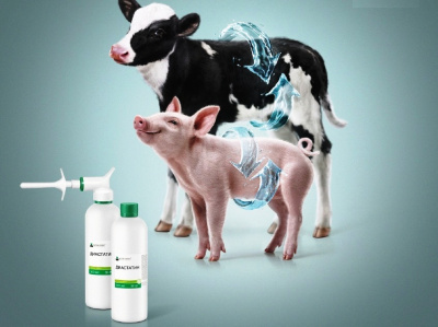 Диастатин для быстрой нормализации пищеварения при диарее поросят