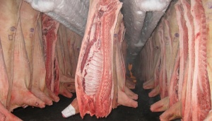 Фьючерсы на убойных свиней достигают $1.10 US/фунт