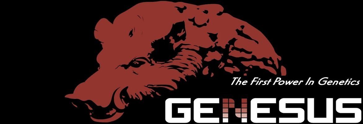 Genesus