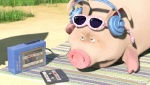 Ученые создали музыку для свиней