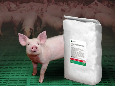 Амоксициллин Feed для лечения заболеваний бактериальной этиологии свиней