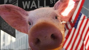 Цены на убойных свиней при заключении фьючерсных сделок достигли новых высот