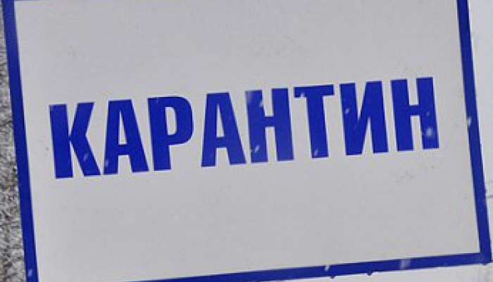 В Саратовской области с 5 сентября объявлен карантин в связи с выявлением африканской чумы сви...