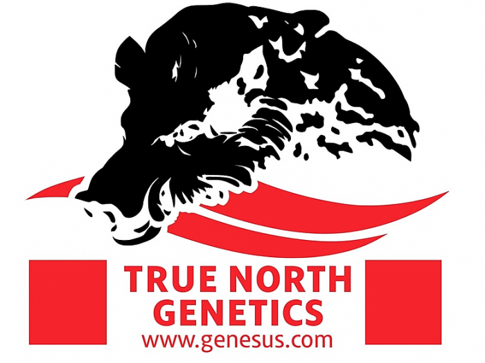 Обзор рынка и вопросы стоимости разделки туши