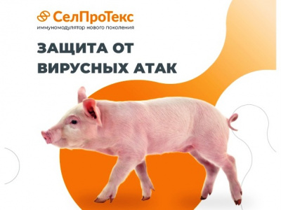 СелПроТекс - иммуномодулятор нового поколения