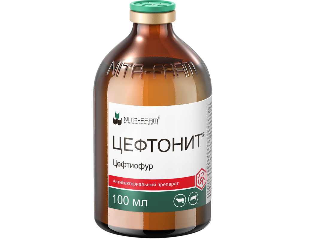 Цефтонит