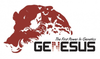 Клиенты Genesus снова в пятерке лидеров и получают 4 из 5 премий за качество туш в конкурсе