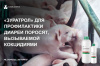 Применение препарата "Зуратрол" для профилактики диареи поросят, вызываемой кокцидиями