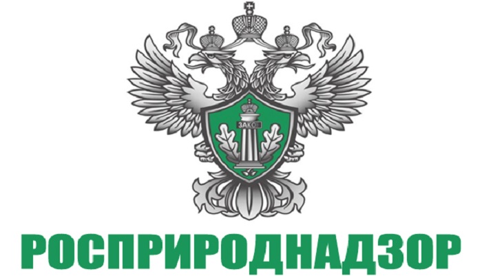 Росприроднадзор подал иск на 15 млрд рублей к волгоградскому свинокомплексу: что произошло?