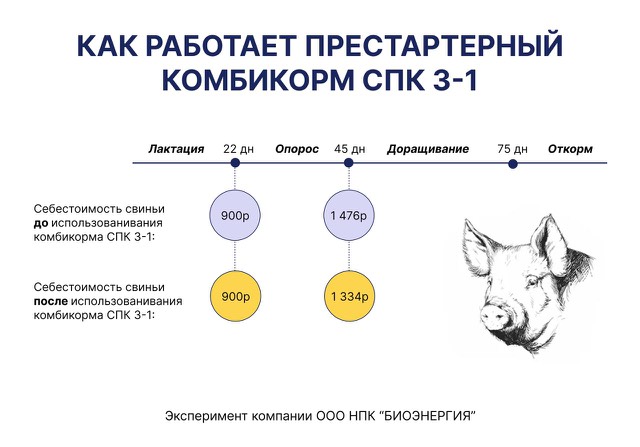  Как работает престартерный комбикорм СПК 3-1 для свиней от компании ООО НПК «БИ...