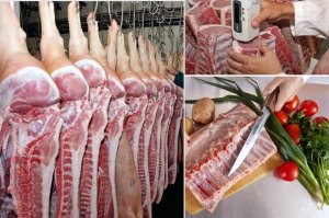 Генетические исследования, направленные на улучшение органолептических характеристик свинины