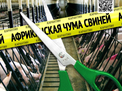 ГАН - средство для дезинфекции свинокомплекса