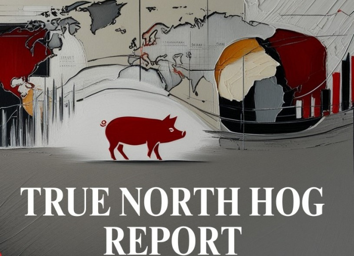 Обзор текущей ситуации на рынке свинины