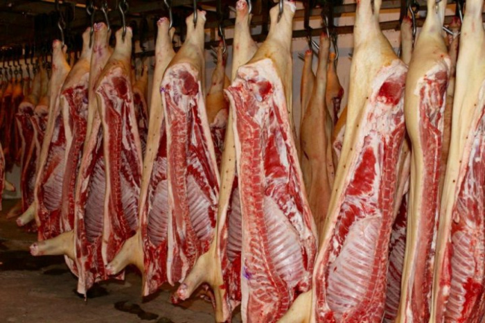 Продажа свинины на Мясоинфо