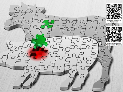 Азитронит - для лечения бактериальных инфекций у свиней