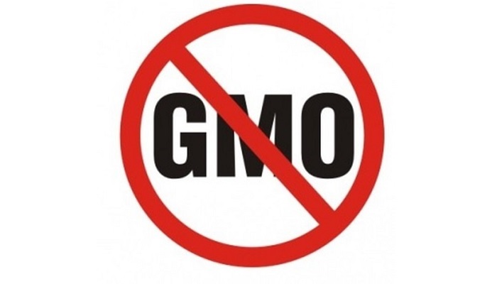 Новая методология выявления ГМО-бактерий в ветеринарных препаратах и кормах