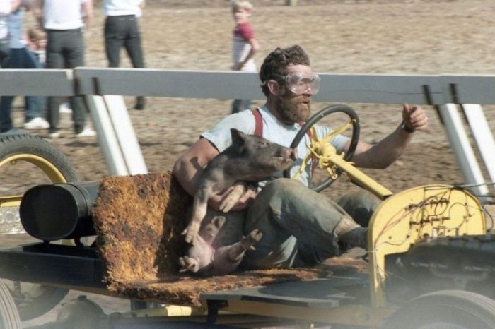 Pig-N-Ford: Американские гонки с поросятами