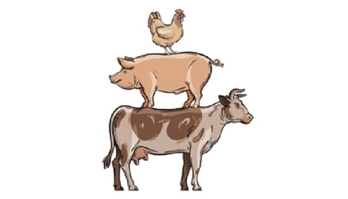 Итоги работы агропромышленного комплекса Иркутской области в 2025 году и планы на 2026 год