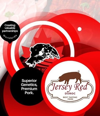 Цены — понятие относительное