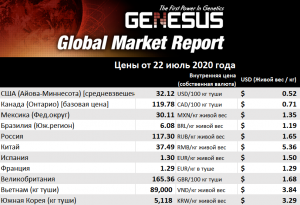 Genesus, обзор мировых рынков. Европейский Союз и Испания, ﻿июль 2020