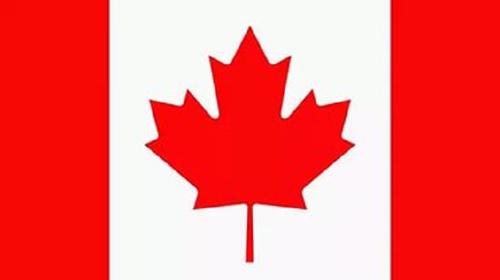 Канадские власти одобрили использование мяса свиней, устойчивых к РРСС