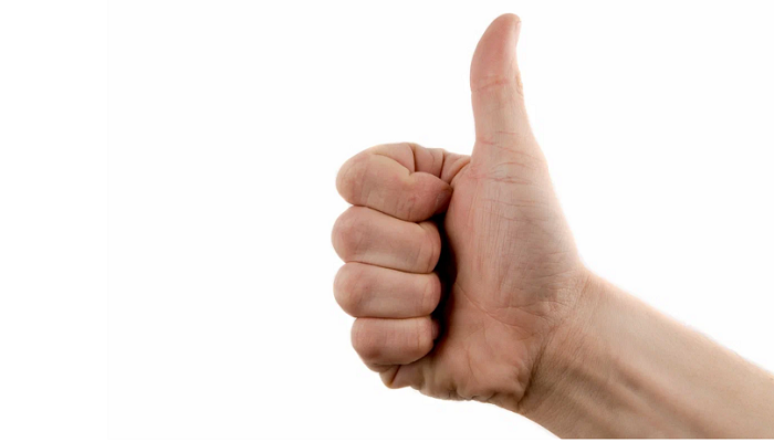 Новые ветеринарные препараты, рекомендованные к регистрации в ЕС: итоги 2025 года