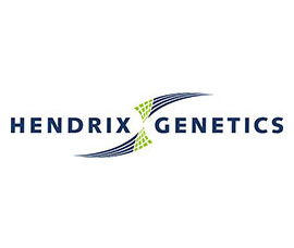 Компания Hendrix Genetics в партнерстве с Huanshan Group запустила в Китае племенную ферму по разведению свиней