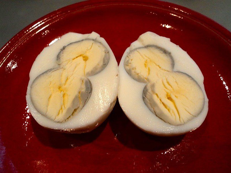 Что будет если переварить яйца. Двухжелтковые яйца. Двойной желток в яйце. Куриные яйца с двумя желтками. Переваренные яйца.