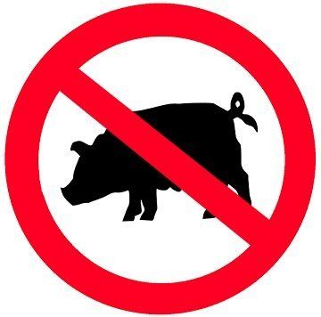 Почему некоторые религии запрещают есть свинину?