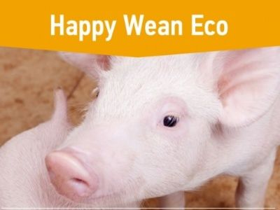 HappyWean_Eco