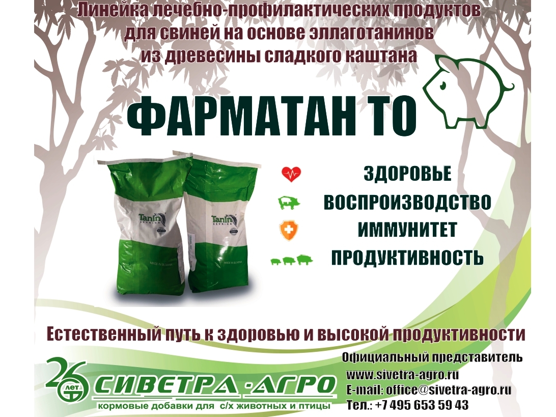 Фарматан ТО — защита от клостридиоза у свиней | Натуральная альтернатива антибиотикам