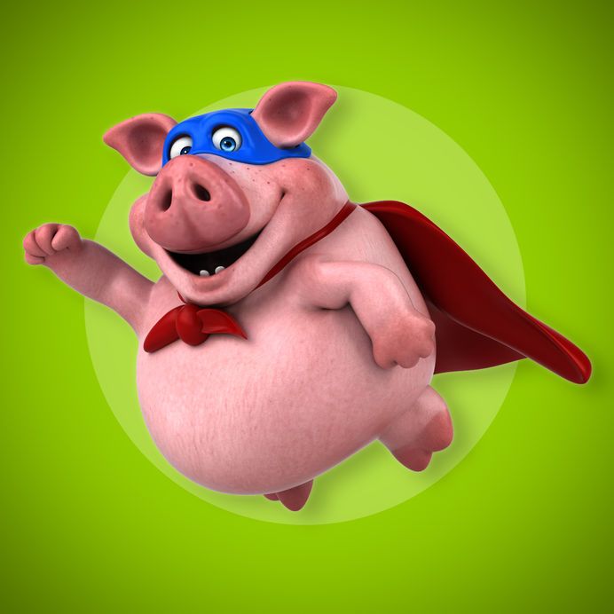 5 историй о свиньях-героях – вот почему их причисляют к животным-компаньонам