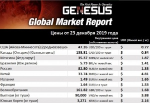 Genesus, обзор мировых рынков. Соединенные Штаты – декабрь 2019  