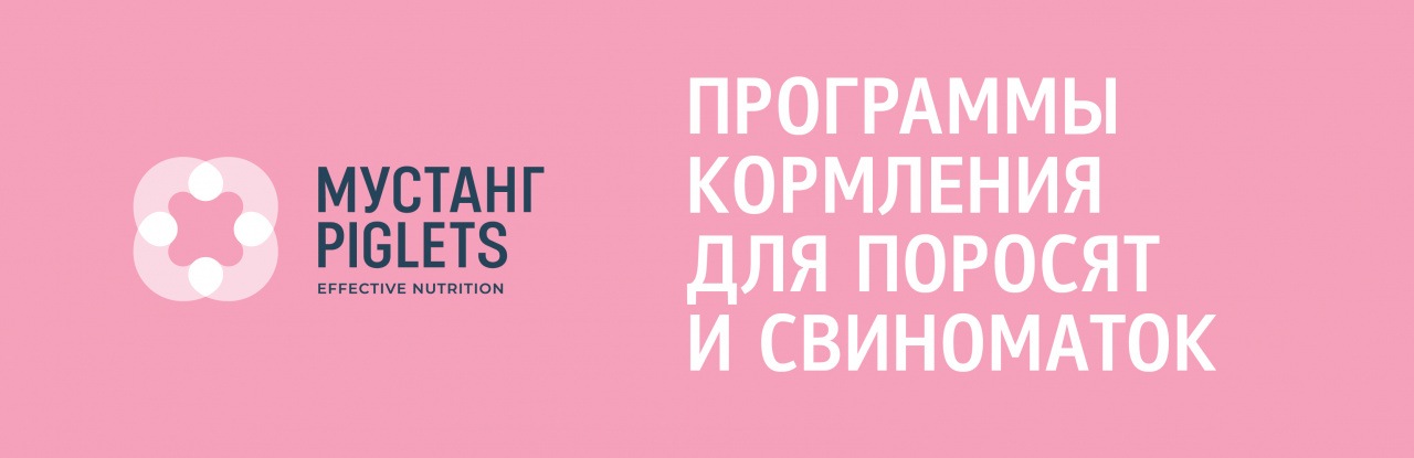 Мустанг Piglets