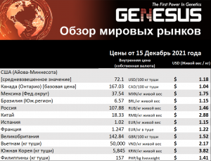 Genesus, обзор мировых рынков. Китай