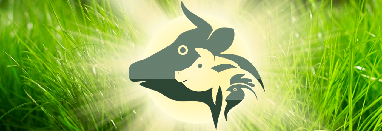 Фабрика Кормов