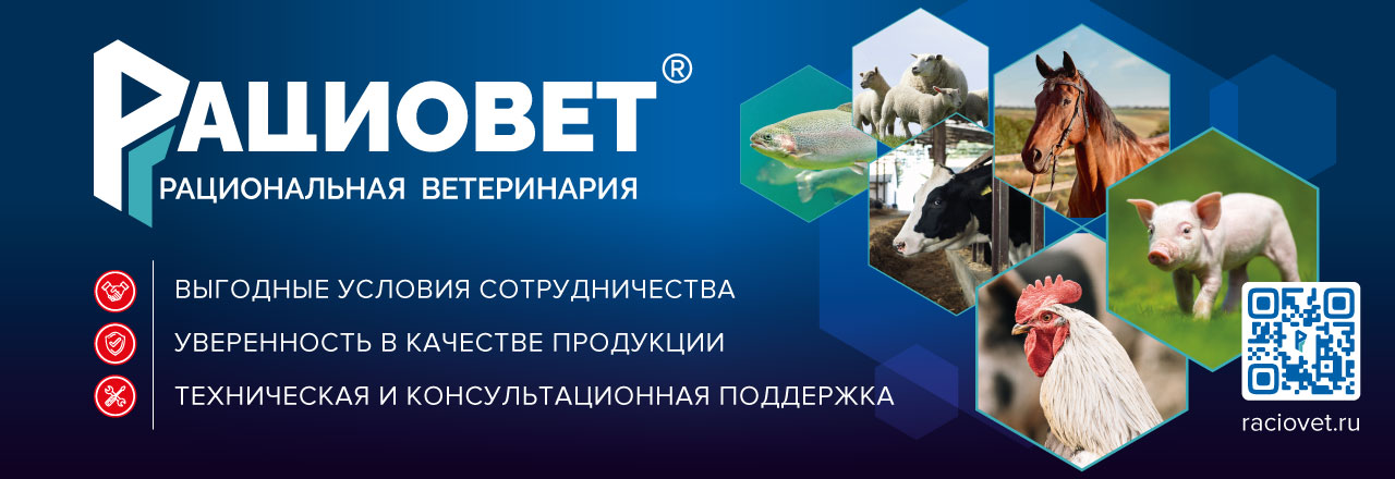 Рациовет