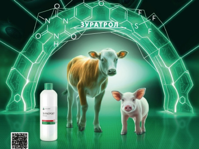 Зуратрол - проверенный препарат для лечения и профилактики эймериоза у свиней